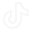 tiktok icon